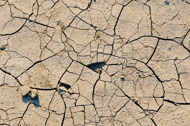 La salinización de las tierras de cultivo amenaza la ‘despensa’ mundial, según la ONU